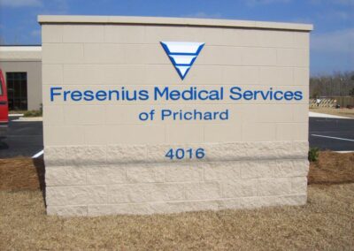 Fresenius Medical Services